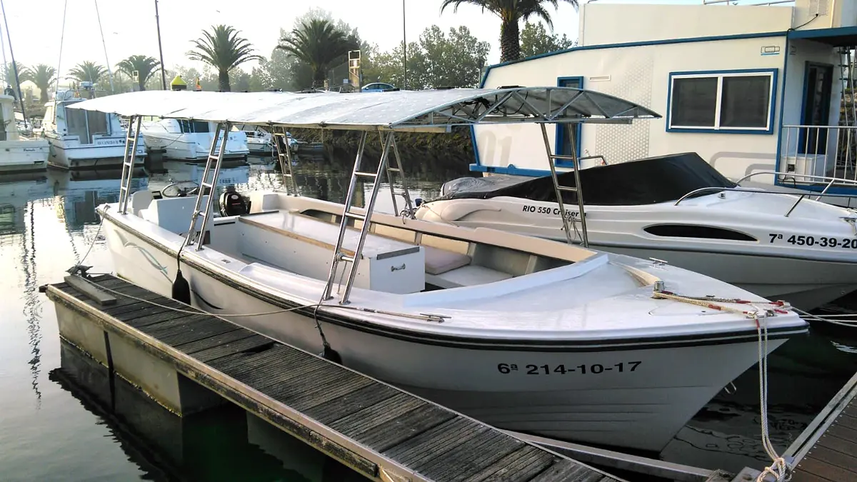 Embarcación de propulsión híbrida Eco-Taxi